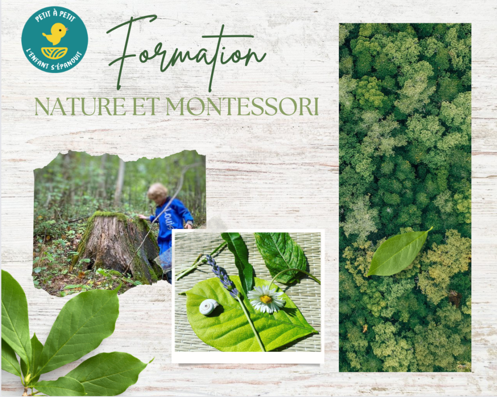 Formation Nature et montessori, activités nature, livres et jeux 