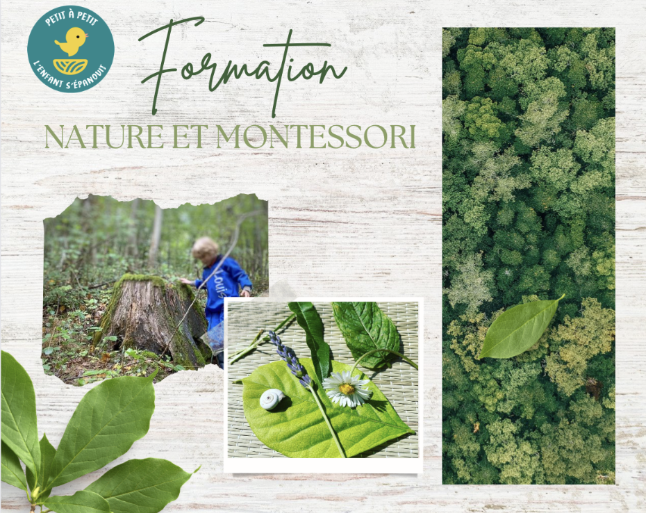 Formation en ligne Nature et Montessori 